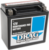 DRAG SPECIALTIES BATTERIES AGM Battery - YTX14LBS AGM Maintenance-Free Battery - Team Dream Rides