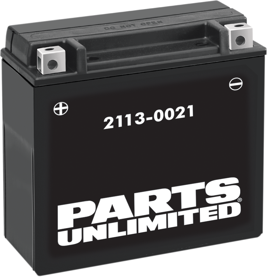 PARTS UNLIMITED AGM Battery - YTX20H-BS .95 L CTX20H-BS - Team Dream Rides