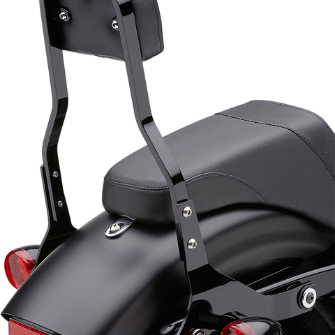 COBRA Backrest Kit - 14