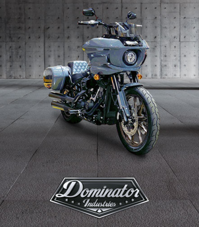 ★ LOWRIDER STREET BOARD 2022 Low Rider ST Upgrade - Thrashin Mini Floorboards - YouTube