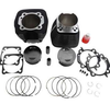 Revolution Performance 131″ Twin Cam Monster Big Bore Kit – Black with Highlighted Fins