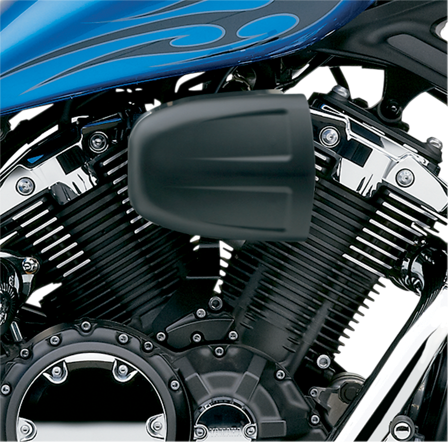 COBRA Air Cleaner Kit - Black 06-0245B-SB - Team Dream Rides