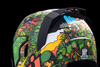 ICON Airflite™ GP23 Helmet - Green, Size Large with Fog-Free Fliteshield™ and Accessories