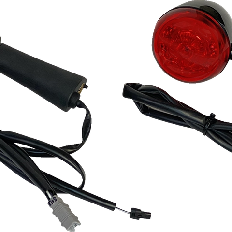 CUSTOM DYNAMICS ProBEAM LED Rear Turn Signal for Scout PB-INDBOB-RR-BR