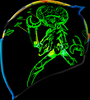 ICON Airflite™ Helmet Bugoid Blitz Blue Large - Part 0101-15549