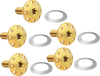 ARLEN NESS Bolt Kit - Holeshot/Front/Floating/Brake Rotor - Spoke Mount - Gold - 5 Pack 300-916 - Team Dream Rides
