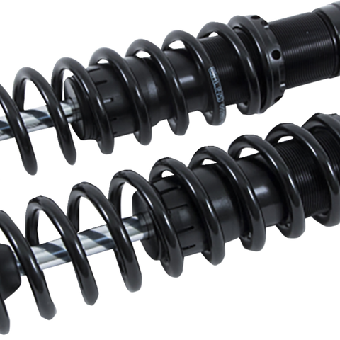 OHLINS Twin Shocks - 13