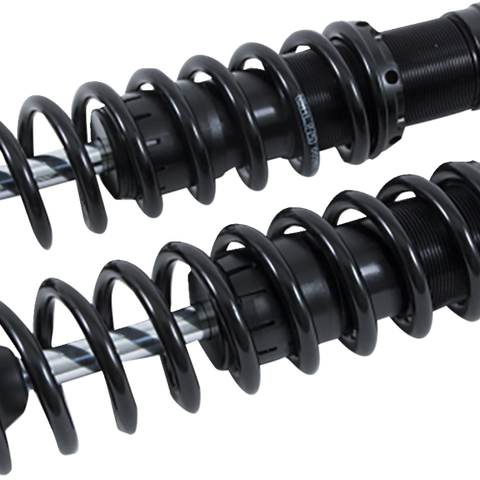 OHLINS Twin Shocks - 12