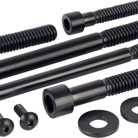 FIGURATI DESIGNS Bolt Kit - Engine - Titanium/Black - M8 FD100-M8-TBOLT-BLK
