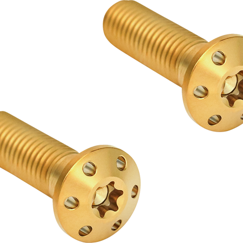 ARLEN NESS Mounting Bolts - Gold 300-919