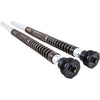 RWD RS-1F SOFTAIL FXBB 49MM FRONT FORK CARTRIDGE SYSTEM - Team Dream Rides