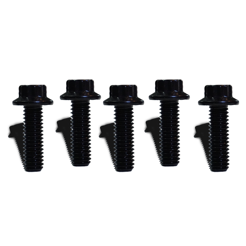 5 Bolt Kit for Sprocket/Pulley - Team Dream Rides