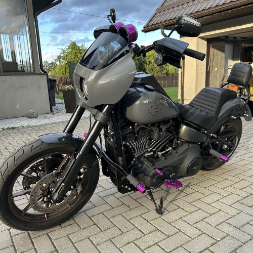 OG Rear Crash Bar for Harley-Davidson M8 Softail - Team Dream Rides