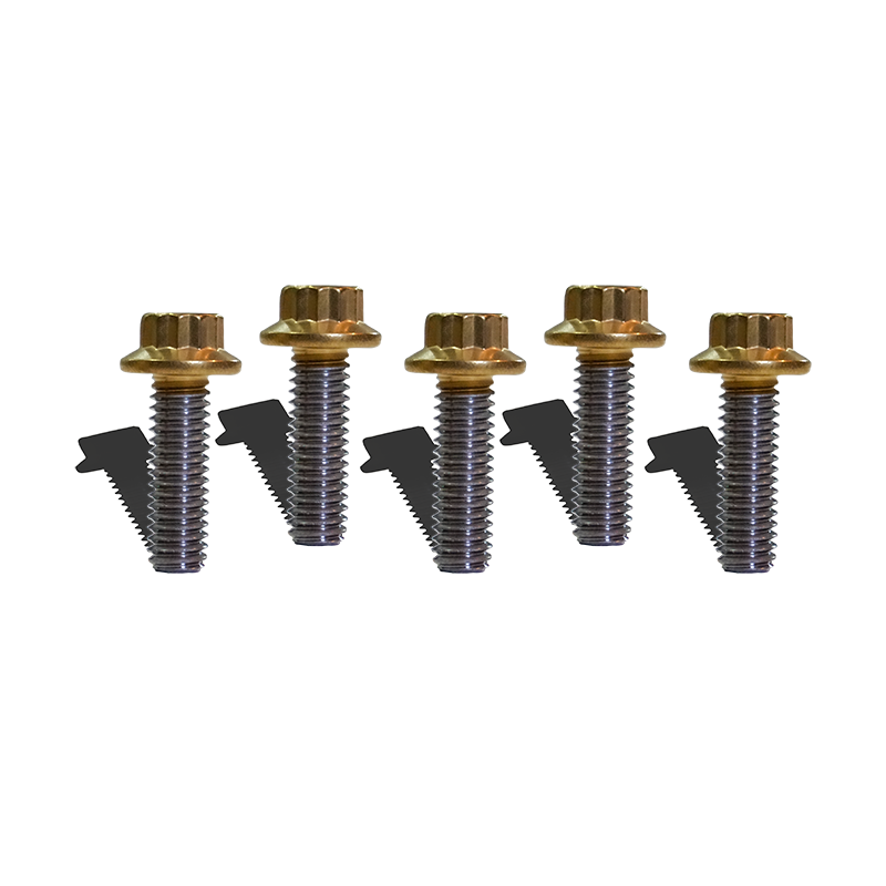 5 Bolt Kit for Sprocket/Pulley - Team Dream Rides