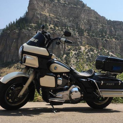 99 - 06 ROAD KING FXRT 