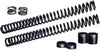 Low Fork Spring Kit 41mm