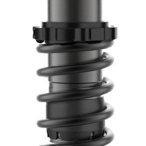 Ifp Qsr Shock M8 Softail 13.5