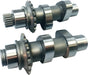100 Camshaft `07 17 Twin Cam - Team Dream Rides