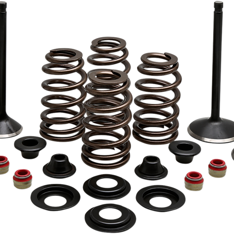 KIBBLEWHITE Complete Valve Kit - Evolution/1200 Engine Kit - Team Dream Rides