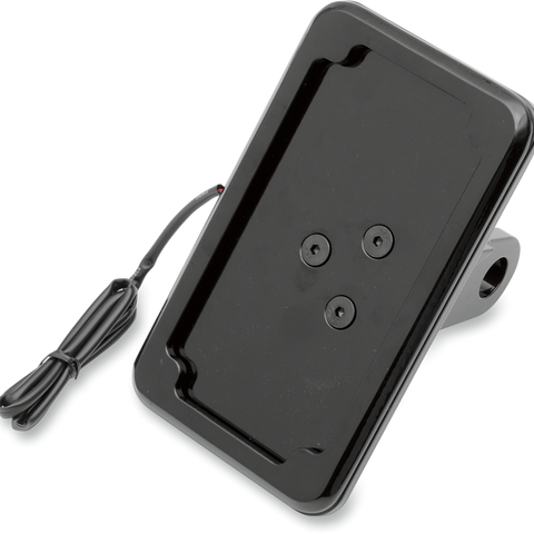 CYCLE VISIONS Vertical License Plate Mount with Light - '05+ XL - Black In-Close License Plate Holder - Team Dream Rides
