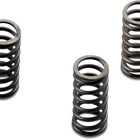 EBC Clutch Springs CSK Series Heavy Duty Clutch Spring Kit - Team Dream Rides