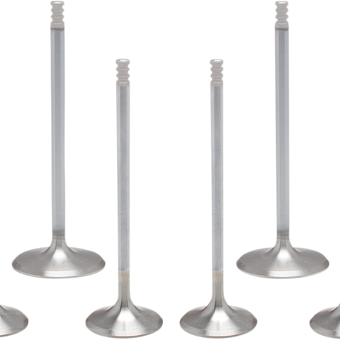 KIBBLEWHITE Valve Kit - M8 Engine Valve Kit - Team Dream Rides