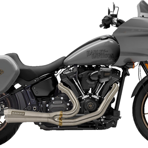 BASSANI XHAUST 2-into-1 Ripper Short Exhaust System - Stainless Steel 1S74SSE - Team Dream Rides