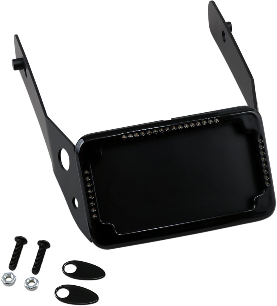 CYCLE VISIONS LP Plate Frame & Mount with Signals - FXDWG - Black Curved License Plate Frame and Mount with License Plate Light - Team Dream Rides