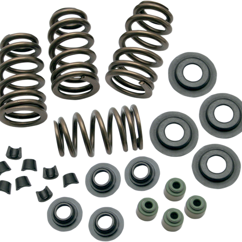 S&S CYCLE Valve Springs - .650