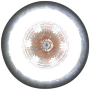 CUSTOM DYNAMICS ProBEAM® Universal Turn Signals - Gloss Black/Clear ProBEAM® Universal LED Bullet Bezel Turn Signals - Team Dream Rides