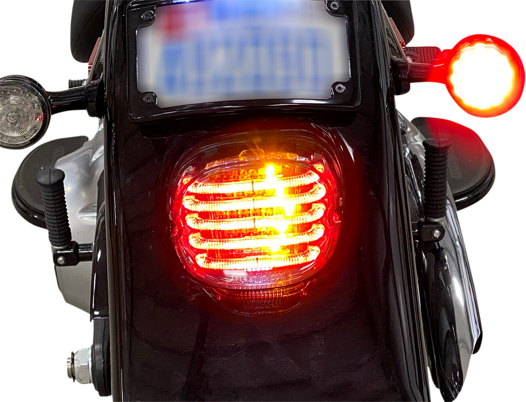 CUSTOM DYNAMICS Taillight/Turn Signal - Red Lens ProBEAM® Integrated Low Profile LED Taillights with Auxiliary Turn Signals - Team Dream Rides