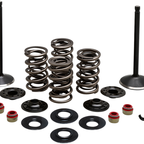 KIBBLEWHITE Complete Valve Kit - Twin Cam Engine Kit - Team Dream Rides