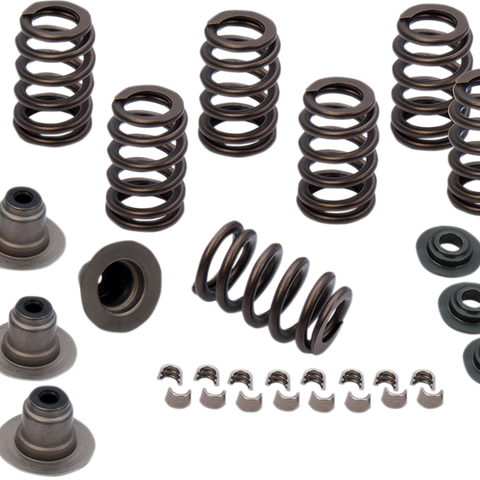 S&S CYCLE Spring Kit - .605