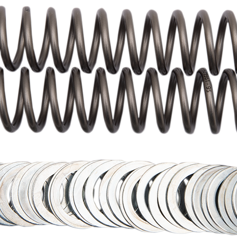 RACE TECH Fork Springs - 0.95 kg/mm Fork Springs — 53.20 lb/in - Team Dream Rides