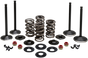 KIBBLEWHITE Complete Valve Kit - Twin Cam Engine Kit - Team Dream Rides