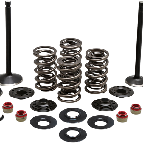 KIBBLEWHITE Complete Valve Kit - Evolution/883 Engine Kit - Team Dream Rides