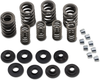 COMP CAMS Valve Spring Kit Valve Spring Kit - Team Dream Rides