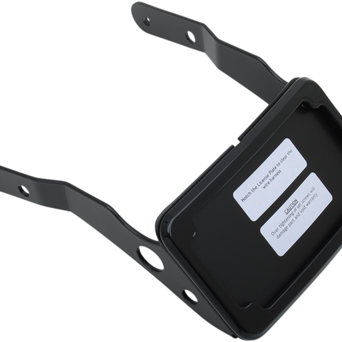 CYCLE VISIONS LP Plate Frame & Mount with Tag Light - XL - Black Curved License Plate Frame and Mount with License Plate Light - Team Dream Rides