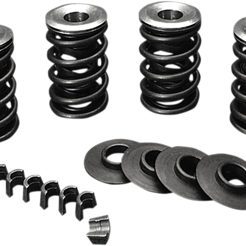JIMS Valve Spring Kit - Evolution - Big Twin Valve Spring Kit - Team Dream Rides