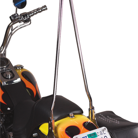 CYCLE VISIONS Attitude Sticks - Chrome Attitude Sticks - Team Dream Rides