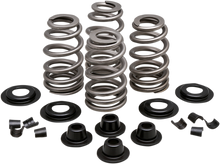 Load image into Gallery viewer, KIBBLEWHITE Spring Kit - .610&quot; - Evolution/Twin Cam Valve Spring Kit - Team Dream Rides