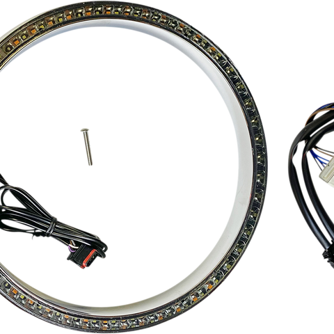 CUSTOM DYNAMICS Standard Trim Ring - Chrome ProBEAM® Turn Signal Ring Trim - Team Dream Rides