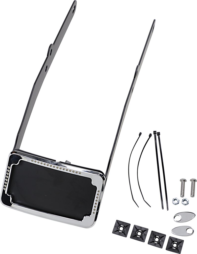 CYCLE VISIONS LP Plate Frame & Mount with Signals - FLSL - Chrome Curved License Plate Frame and Mount with License Plate Light - Team Dream Rides