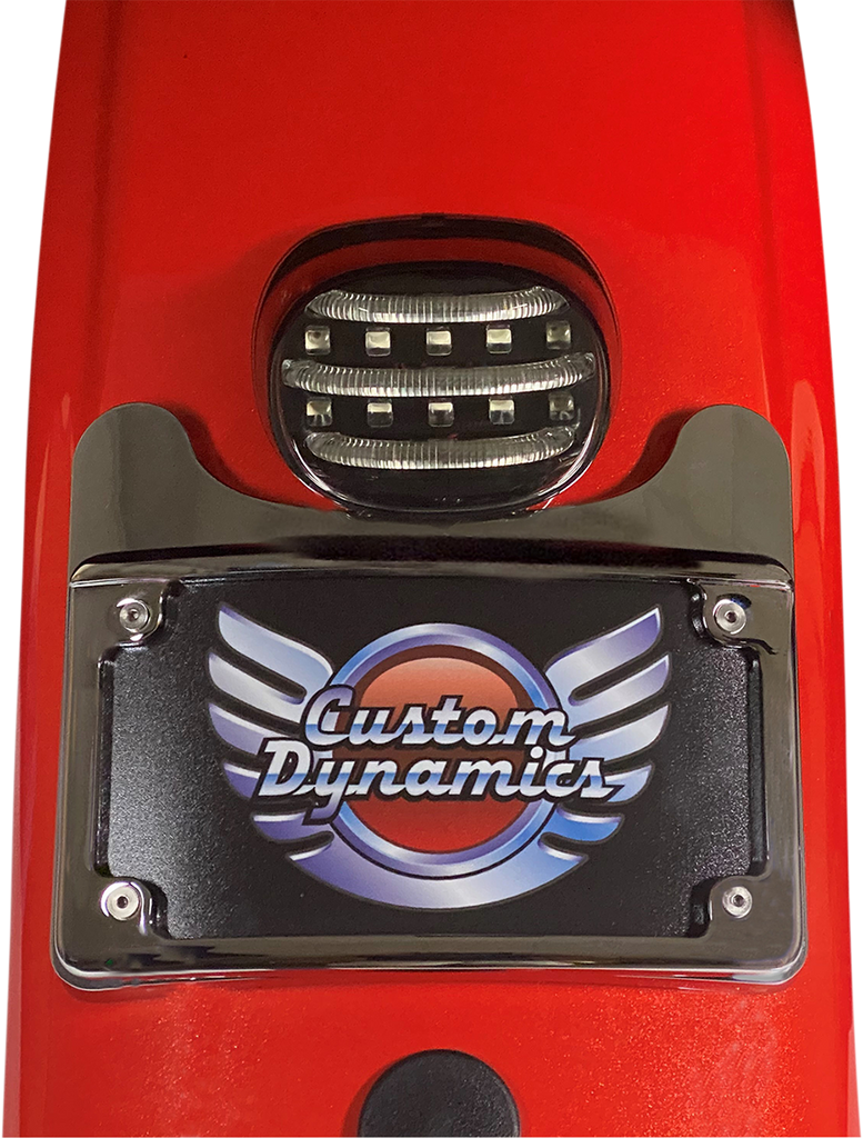 CUSTOM DYNAMICS Lighted Turn Signal Eliminator Kit - Black Lighted Turn Signal Eliminator Kit - Team Dream Rides