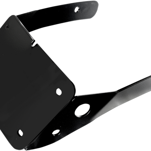 CYCLE VISIONS Curved License Plate Mount - Harley Davidson Curved License Plate Holder - Team Dream Rides