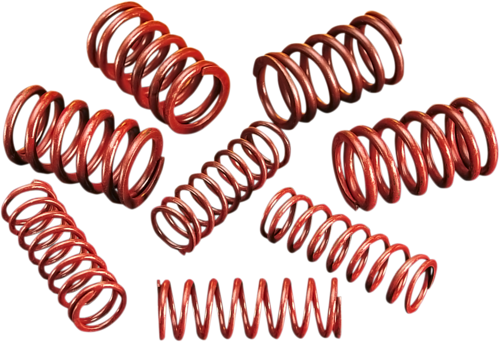 ANDREWS High-Lift Springs High-Lift Valve Spring Kit - Team Dream Rides