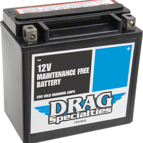 DRAG SPECIALTIES BATTERIES AGM Battery - YTX14LBS AGM Maintenance-Free Battery - Team Dream Rides