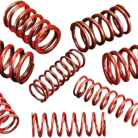 ANDREWS High-Lift Springs High-Lift Valve Spring Kit - Team Dream Rides