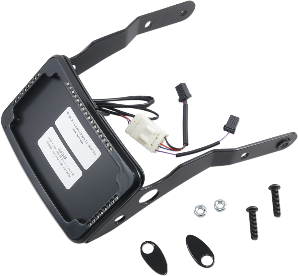 CYCLE VISIONS LP Plate Frame & Mount with Signals - XL - Black Curved License Plate Frame and Mount with License Plate Light - Team Dream Rides