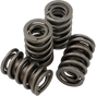 JIMS Valve Spring Kit - Evolution - Big Twin Valve Spring Set - Team Dream Rides